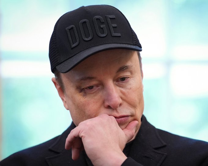 Elon Musk has raised concerns about organised fraud networks allegedly stealing taxpayer-funded benefits in the United States.