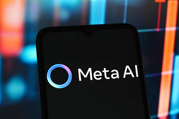 Meta’s Petal project will connect the United States and France through a 7,000-kilometre transatlantic subsea cable.