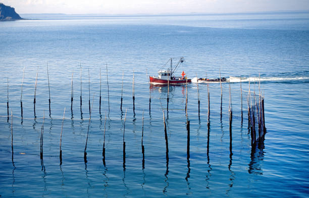 Canada's freshwater resources are increasingly being discussed as a national security, environmental and economic priority.