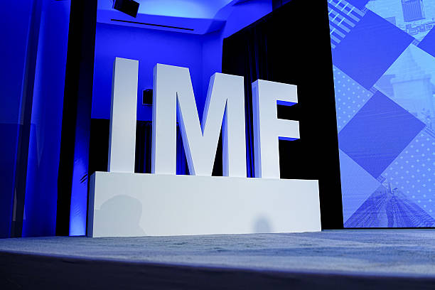 IMF Says Tokenized Stocks Are Less Liquid and More Volatile Than Traditional Shares